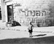 הפנתרים השחורים פוגשים את מנהגי המאבק החברתי