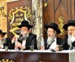 דרמה באשדוד: לראשונה תתמודד תנועת 'דגל התורה' באופן עצמאי