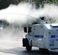 מכתזית (צילום: שאטרסטוק)