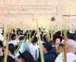 חידוש ברחבת הכותל: מיני-סוכה מעל הברזיה | וגם: שני מועדים לברכת הכהנים בסוכות
