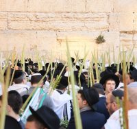 "ולולביהן בידיהן" | סוכות בכותל אשתקד