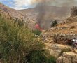 תמונה ללא תיאור