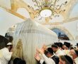 "ברגל מהשער הצהוב": חידושים מפתיעים בהילולת רחל אמנו
