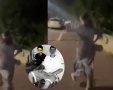 הנערה המבועתת על רקע שני הבריונים (בעיגול) | דניאל עמרם