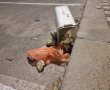 10 חשודים נעצרו במהלך המשחק בטדי