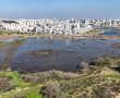 חוגגים את יום המשפחה בטבע:
