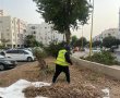 אחרי הזנחה של שנים: הבניינים הוותיקים קיבלו מראה חדש