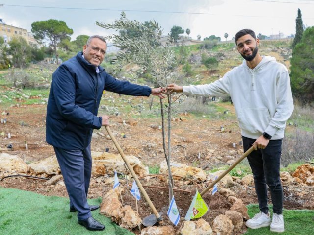 הנטיעה | ארנון בוסאני