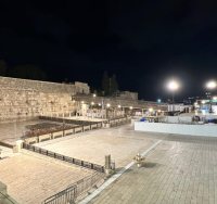 רחבת הכותל ריקה מאדם | הקרן למורשת הכותל