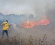  דני בן דוד מנהל קק"ל : "הסוף לשריפות היער עוד רחוק "