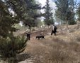 איפה ספרקה? החיפושים הנרחבים | יכ"ל