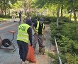עיריית יבנה לתושבים: “שומרים יחד על עיר נקייה - גם כשמטיילים עם הכלב”