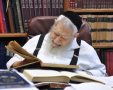 מרן הרב עובדיה יוסף | צילום ארכיון: שוקי לרר