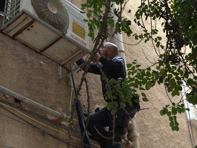 שוטר מביט מבעד לענפי העץ | דוברות המשטרה