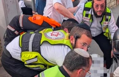 מנסים להציל את חייו | צילום: צוות הצלה