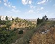 הוואדי בנחל רוממה | צילום: יהונתן היימן