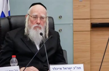 ח"כ ישראל אייכלר בראשות ועדת העבודה והרווחה | צילום: נועם מושקוביץ, דוברות הכנסת