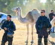 משעות הבוקר: החלה הריסת מתחם הבתים של שבט אבו עסא (צפו בתיעוד מהשטח)