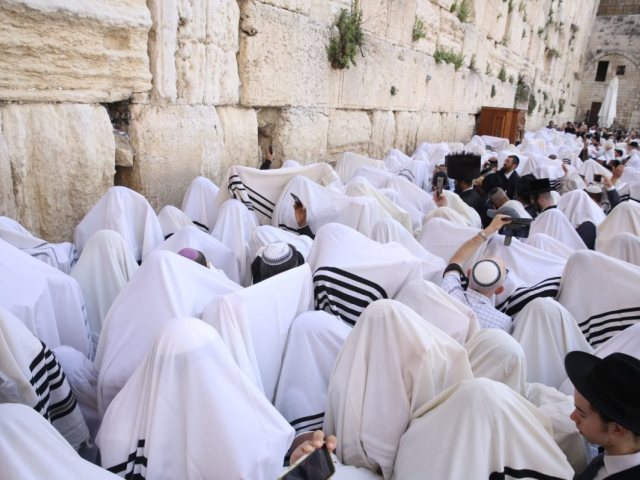 הכותל המערבי. דוברות הקרן למורשת הכותל