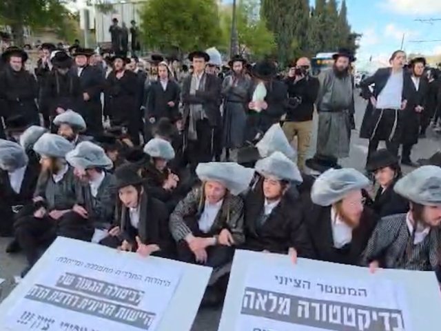 קומץ המפגינים | דוברות המשטרה