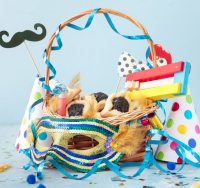 משלוחי מנות | shutterstock