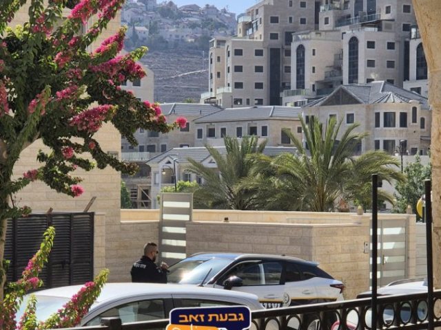 דוחות בשכונה | גבעת זאב אונליין