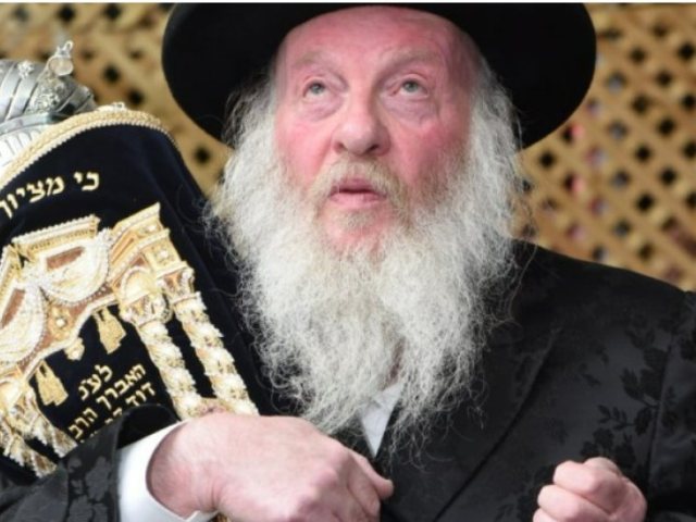 כ"ק האדמו"ר זי"ע | צילום: משה גולדשטיין