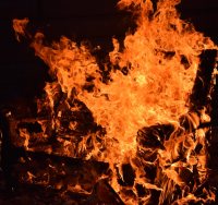 בתמונה כמובן אילוסטרציה shutterstock