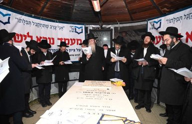 רבני רינה של תורה על קברו של הפלא יועץ | ארכיון: שוקי לרר