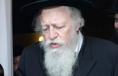הגר"א סולובייציק | צילום: שוקי לרר