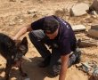 הכירו את  ג'רי, איזה ודורו שמסייעי למשטרה 