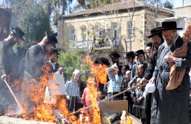  גיל כהן מגן / Shutterstock.com