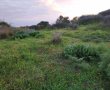 רשות הטבע והגנים פתחה בחקירה - חשד לפגיעה בשמורת טבע  בין יישובי הדרום