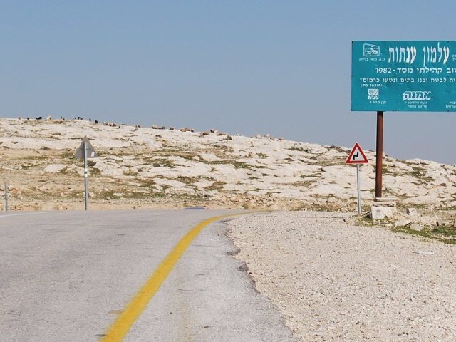 צילום Eli.berckovitz