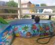 לקראת חגיגות יום העצמאות: מד"א מפרסם הנחיות זהירות
