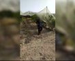 הפשיעה החקלאית נמשכת -נתפס חשוד בעת גניבת נקטרינות במושב במועצה האזורית חוף אשקלון