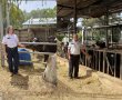 הגיבורים שמאחורי הגבינה – וגם מאחורי האמבולנס הכירו את אביטל מקיבוץ אורים וג'קי מקיבוץ זיקים החובשים של מד"א