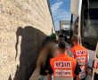 תאונת דרכים בכביש 60: עשרות נפצעו בהתנגשות בין אוטובוס למשאית