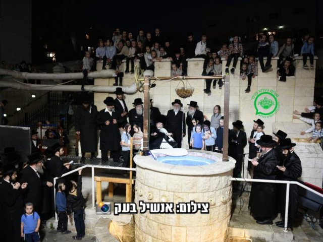 צילום: אנשיל בעק