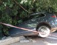 הרכב שהתדרדר לתוך הגן | מקור: אהרן יוסף