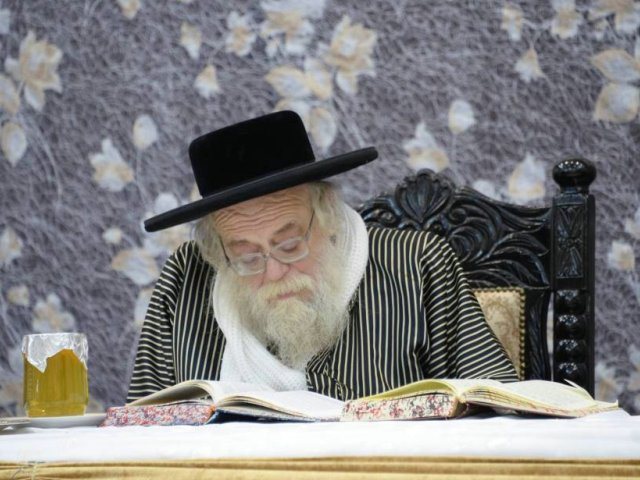 האדמו"ר מתולדות אהרן. צילום: שוקי לרר