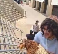ניסיון הקרבת קרבן בפעם הקודמת | ארכיון 
