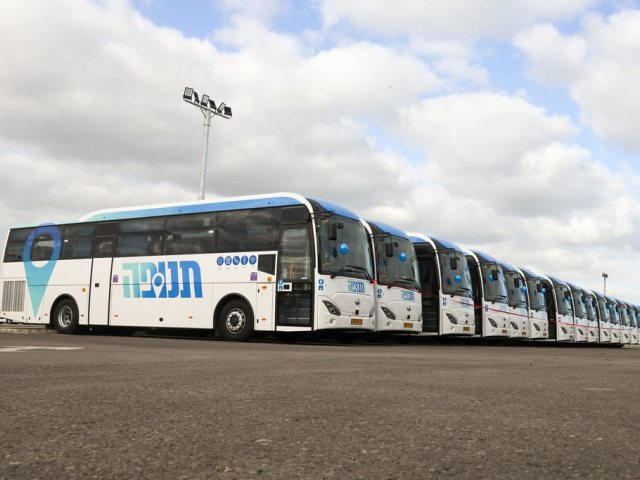 אוטובוסים של 'תנופה'. צילום: חברת תנופה