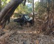 חיפושים נרחבים בנחל לכיש: מתנדבי זק"א מחפשים אחר תושבת אשדוד הנעדרת