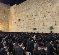 אלפי החסידים בכותל | הקרן למורשת הכותל