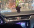 צפו: אלמונים ירו לעבר סניף "המקסיקני" בעיר העתיקה בבאר שבע