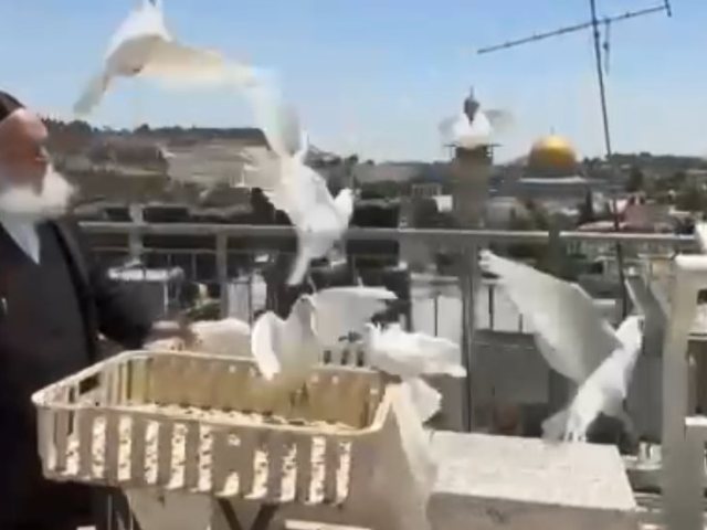 גולדקנופף מפריח יונים בשמי ירושלים. פרסום לפי סעיף 27א לחוק זכויות יוצרים
