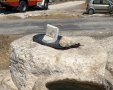 בור המים אליו נפל הנער בירושלים | תיעוד מבצעי כב"ה