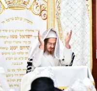 "זכה בכל הקופה" | מוצאי יום כיפור בסאדיגורה ב"ב (צילום: שוקי לרר)