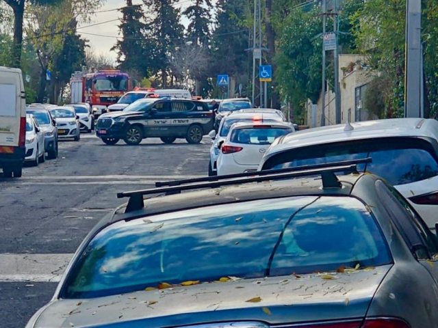 הטיפול ברימון שנמצא בקריית מנחם. צילום: דוברות המשטרה